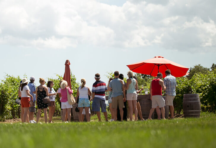 Discover Wine Country